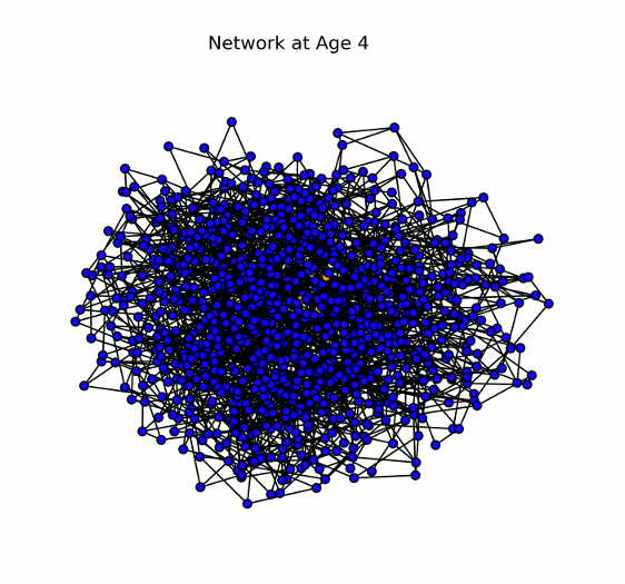 Animated Network Graph